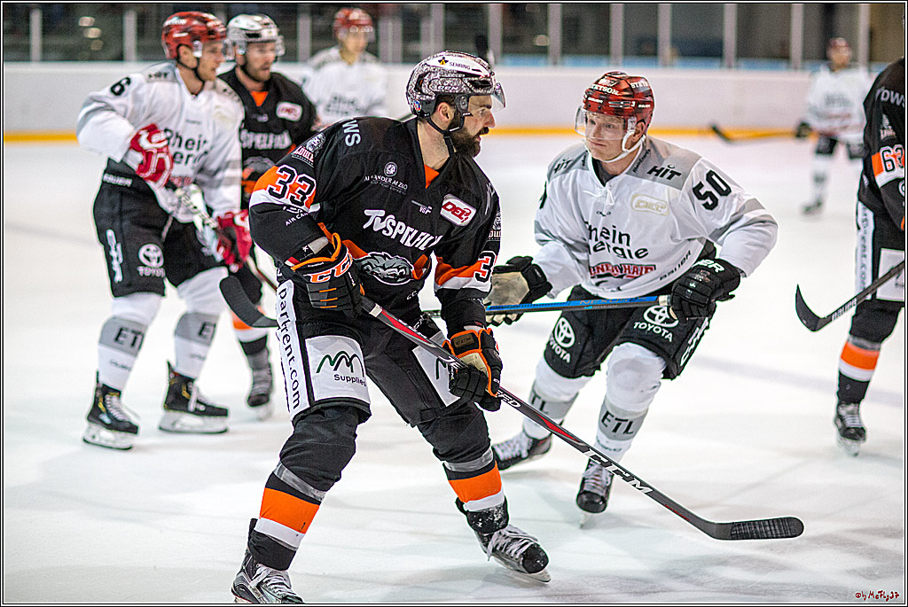 Testspiel Koelner Haie - Frankurter Loewen, 04.09.2018